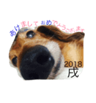 パル生活（個別スタンプ：1）