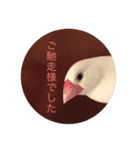文鳥のみるくちゃん（個別スタンプ：15）