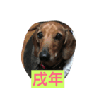 叶音（個別スタンプ：3）