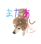 ハッピービレッジ2018（個別スタンプ：8）