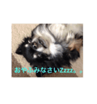 トレプンのアイドルミルトさん（個別スタンプ：1）