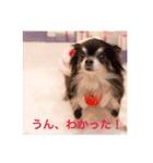 トレプンのアイドルミルトさん（個別スタンプ：4）