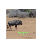 African Animalss（個別スタンプ：4）