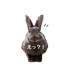 ♡ラルム♡（個別スタンプ：4）