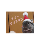 ♡ラルム♡（個別スタンプ：6）