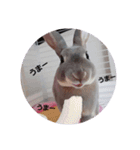 ♡ラルム♡（個別スタンプ：9）