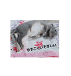 ♡ラルム♡（個別スタンプ：16）