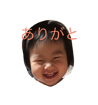 こはったん（個別スタンプ：8）