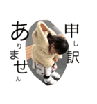 yunao（個別スタンプ：7）