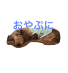 ココアとトラヴィス（個別スタンプ：2）