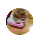 なめこのなーさん1（個別スタンプ：4）