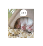 なめこのなーさん1（個別スタンプ：8）