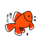 金魚好きのためのスタンプ（個別スタンプ：31）