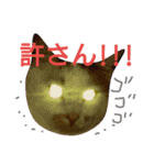 ねこの小言～ず（個別スタンプ：5）