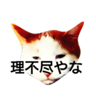 ねこの小言～ず（個別スタンプ：6）