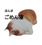 ねこの小言～ず（個別スタンプ：10）