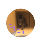 カリン様あかちゃんバージョンスタンプ（個別スタンプ：2）