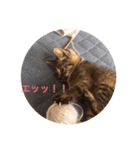 カリン様あかちゃんバージョンスタンプ（個別スタンプ：5）