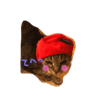 ねこねこニャンズ（個別スタンプ：8）