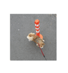 おじいちゃん犬（個別スタンプ：5）