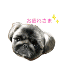 りーちゃん①（個別スタンプ：12）