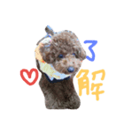 i love menko（個別スタンプ：6）
