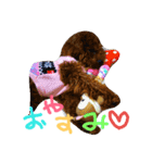 i love menko（個別スタンプ：7）