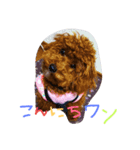i love menko（個別スタンプ：8）