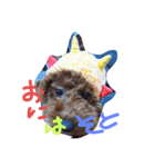 dog message for you（個別スタンプ：2）