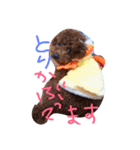 dog message for you（個別スタンプ：4）