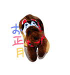 dog message for you（個別スタンプ：5）