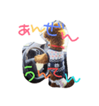 dog message for you（個別スタンプ：8）