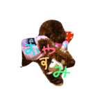 dog the HAPPY（個別スタンプ：4）