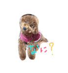 dog the HAPPY（個別スタンプ：7）