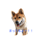 めめちゃん♡（個別スタンプ：8）