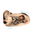 溺愛スタンプ（個別スタンプ：6）