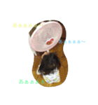 溺愛スタンプ（個別スタンプ：12）