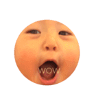 WASHITUGU1（個別スタンプ：1）