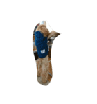 i_am dog.（個別スタンプ：2）