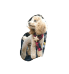 i_am dog.（個別スタンプ：4）