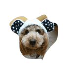 i_am dog.（個別スタンプ：5）