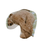 i_am dog.（個別スタンプ：8）