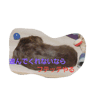 癒しのライム（個別スタンプ：2）