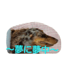 癒しのライム（個別スタンプ：7）