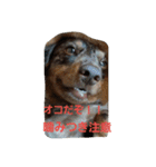 癒しのライム（個別スタンプ：10）