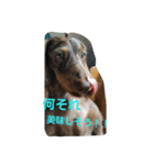 癒しのライム（個別スタンプ：11）