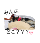 フクちゃんの日常（個別スタンプ：8）
