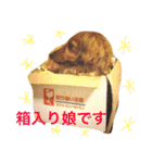 ロン子さんの1日（個別スタンプ：1）