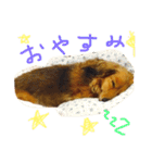 ロン子さんの1日（個別スタンプ：3）