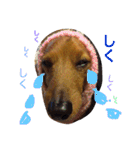 ロン子さんの1日（個別スタンプ：7）